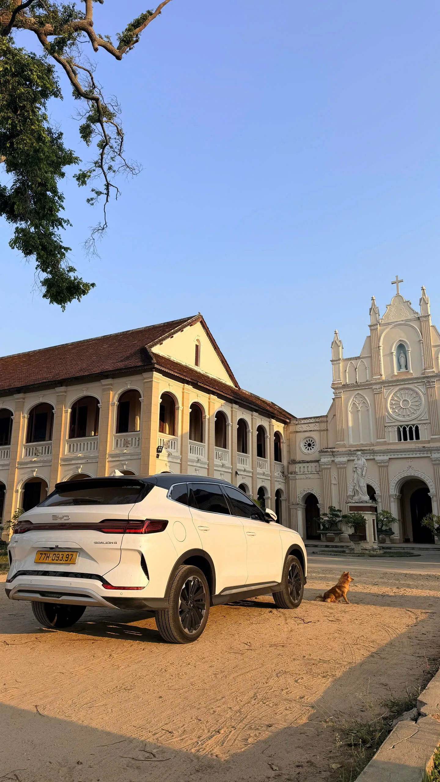 Dòng xe BYD hiện đại