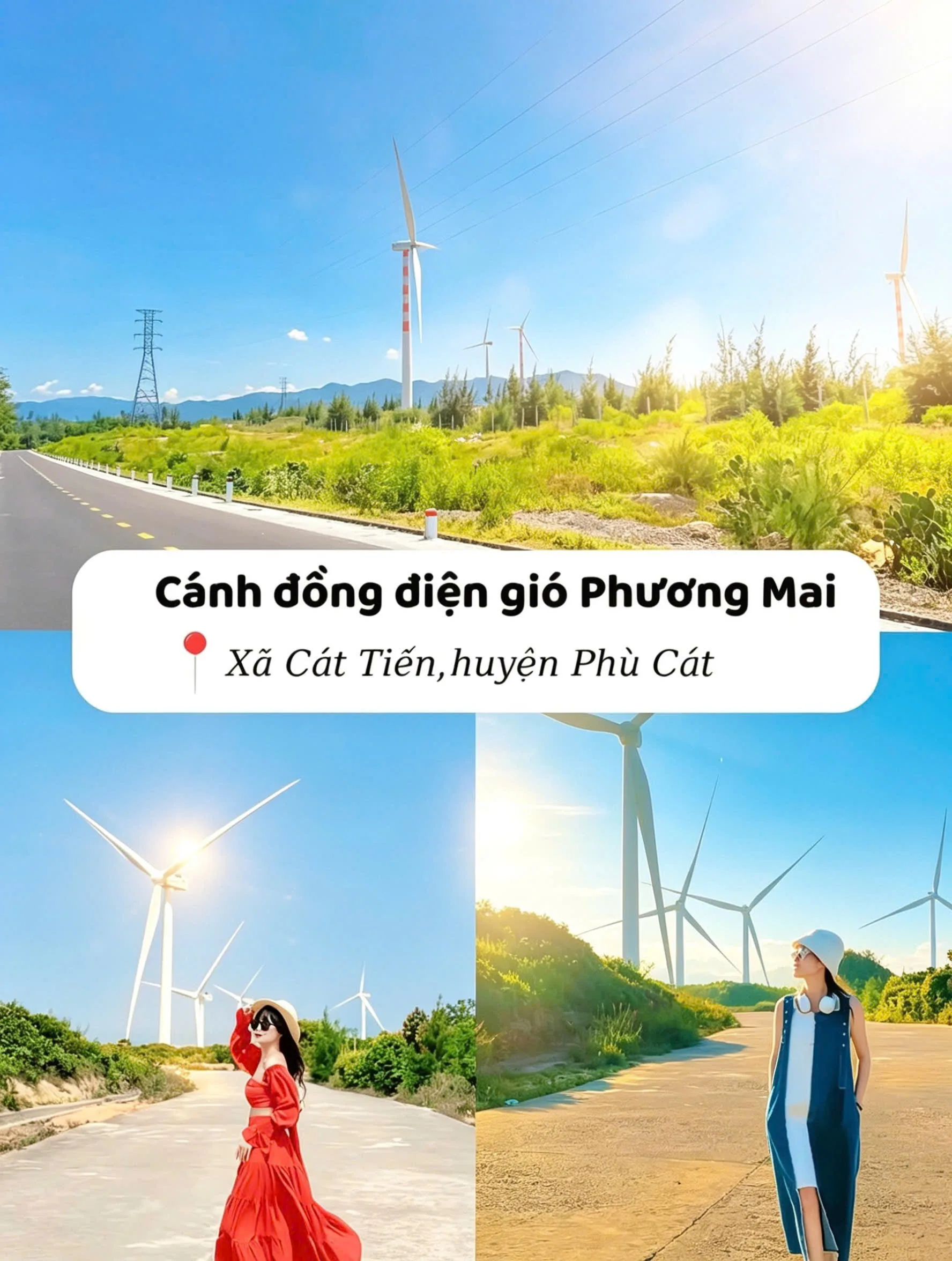 Cánh đồng điện gió Phương Mai
